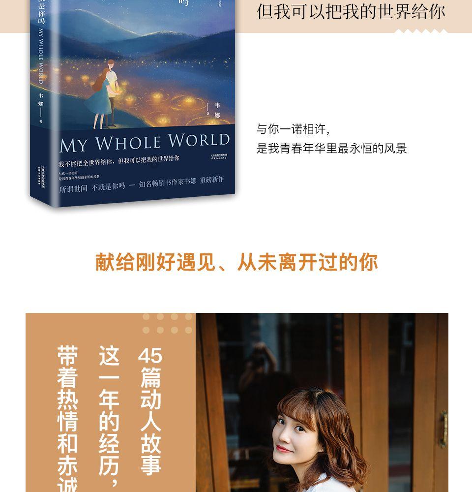 车险估价器游戏画面