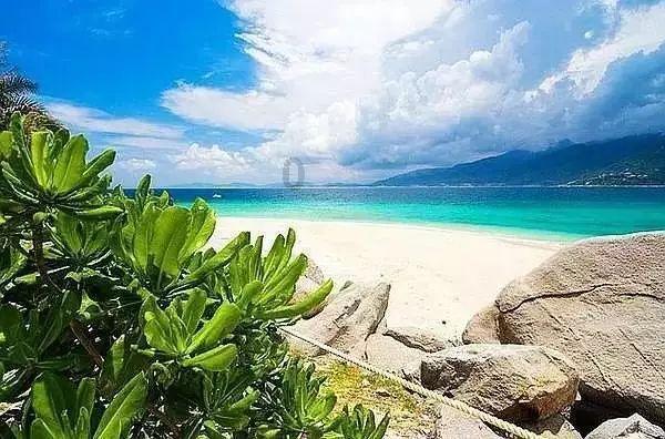 老山羊救援